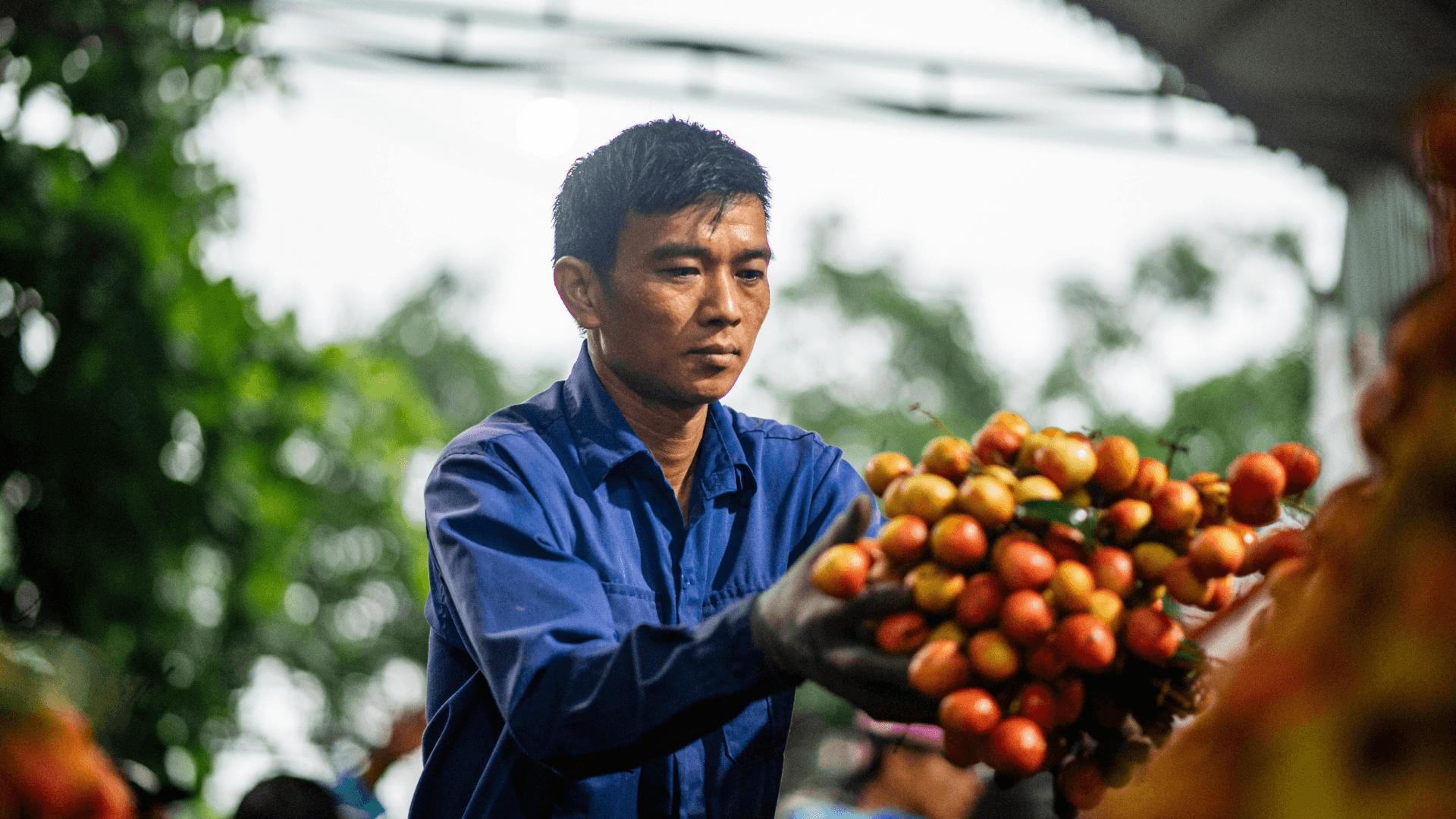 Sản phẩm tạo tác động từ các doanh nghiệp Việt Nam