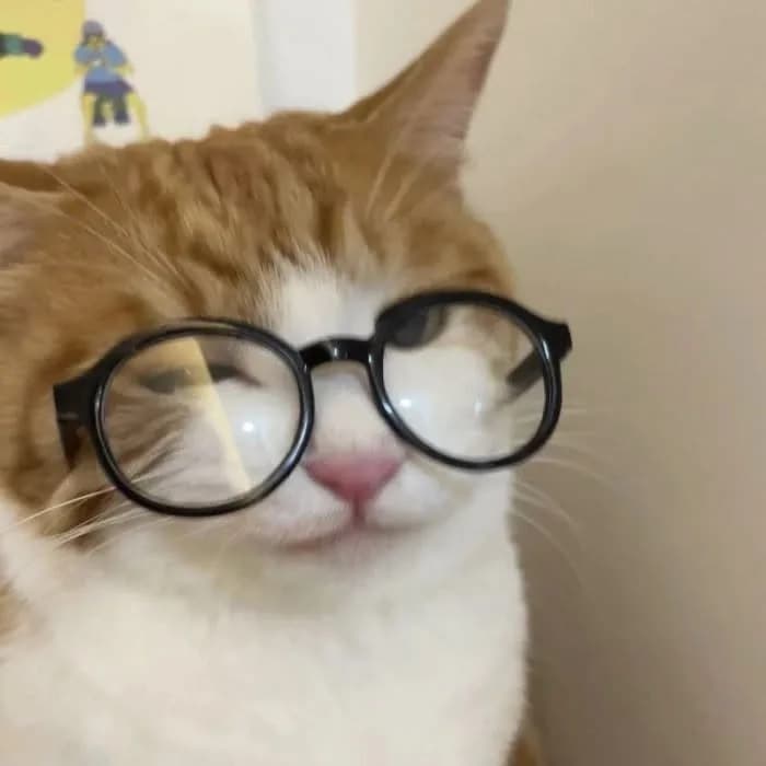 Lorem ipsum dolor sit amet
